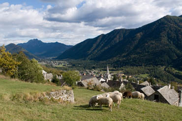 valle vigezzo e druogno - pascoli in estate